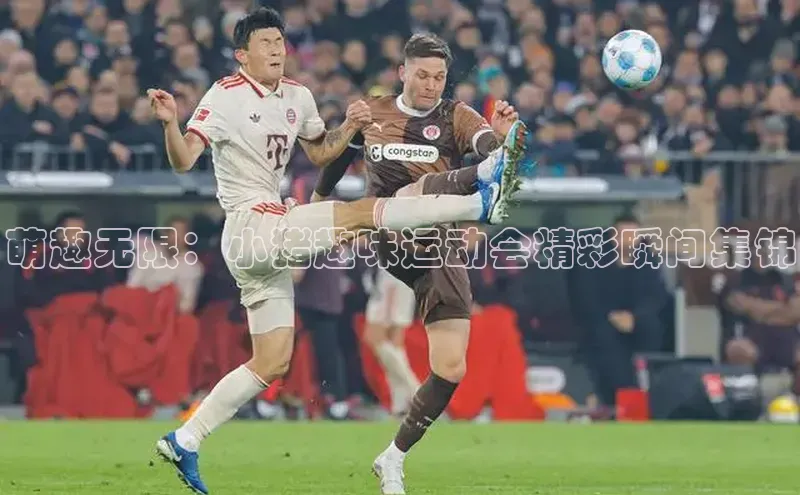 萌趣无限：小猪趣味运动会精彩瞬间集锦
