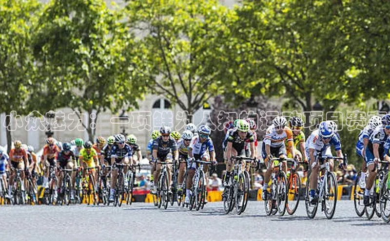 小众魅力：一项鲜为人知的运动项目赛事