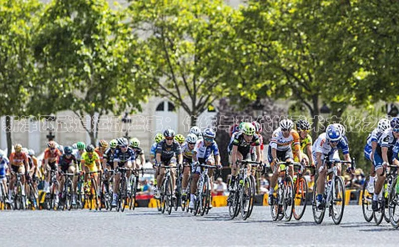 新津区武道运动盛事：传统与现代的武术文化之旅