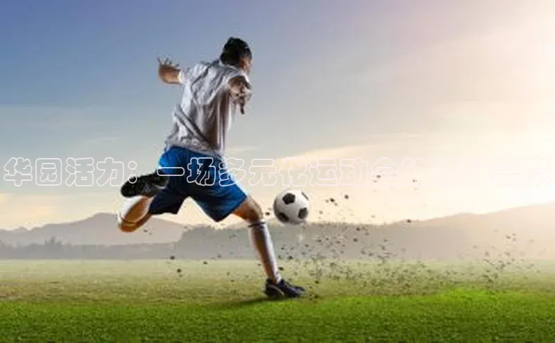 华园活力：一场多元化运动会的精彩篇章