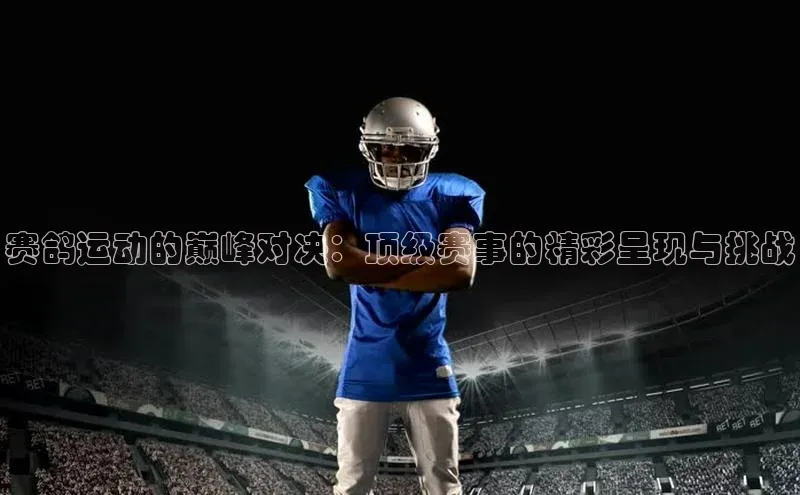 赛鸽运动的巅峰对决：顶级赛事的精彩呈现与挑战