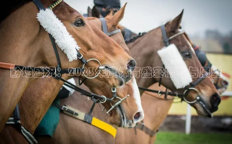 黔地盛况：2023年度体育盛宴概览与展望