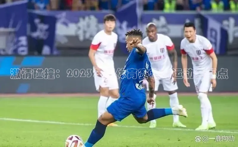 激情碰撞：2023年度体育赛事与运动会亮点