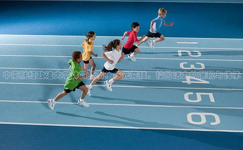 中南财经政法大学体育盛事：多元竞技，校园活力的展现与传承