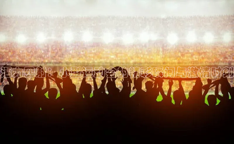 非凡体育2121app官网版