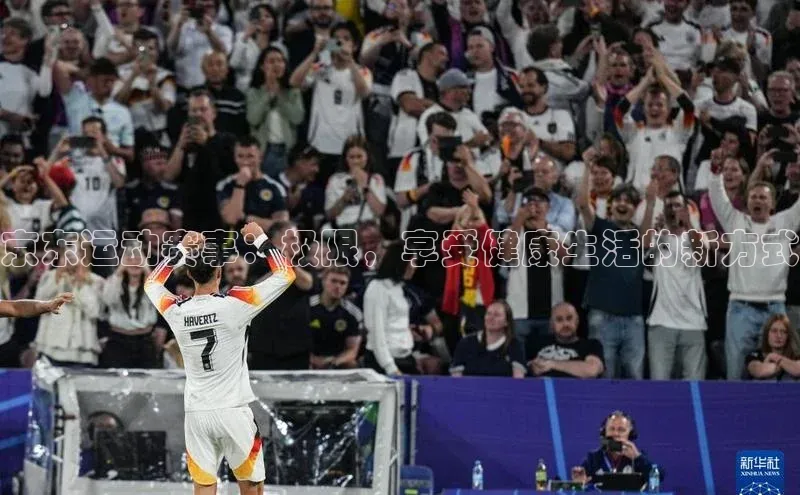 非凡体育官网入口