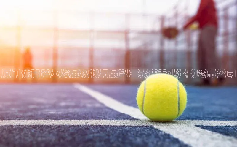 厦门体育产业发展现状与展望：聚焦专业运动赛事公司